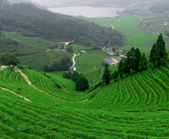 Coonoor Package