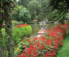 Tour Package Coonoor