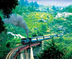 Tour Package In Coonoor