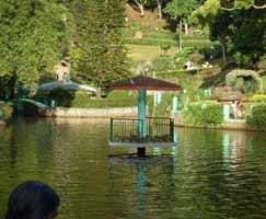 Coonoor Tourism Honeymoon