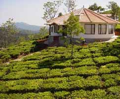 Coonoor Tourism Package