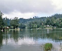 Coonoor Tour Package