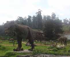 Holiday In Coonoor