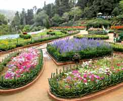 Coonoor Vacation